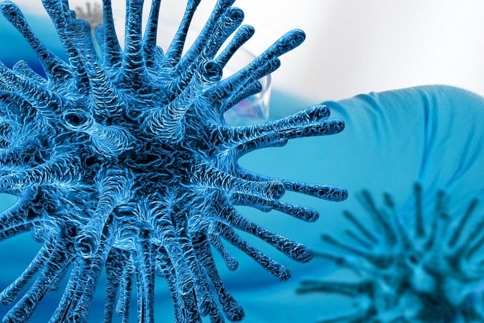 koronawirus atakuje wiele organów